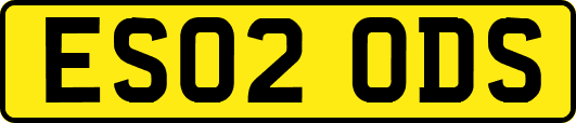 ES02ODS
