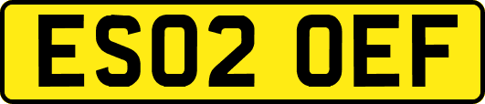 ES02OEF