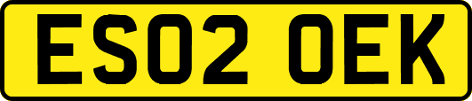 ES02OEK