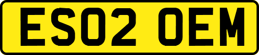 ES02OEM