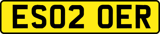 ES02OER