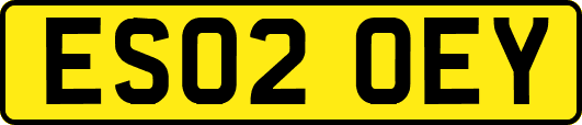 ES02OEY