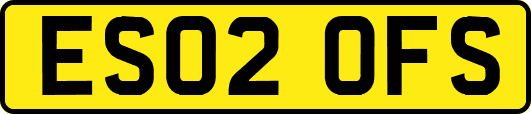 ES02OFS