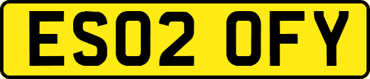 ES02OFY