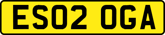 ES02OGA