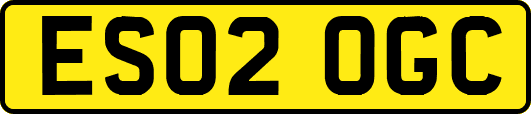 ES02OGC