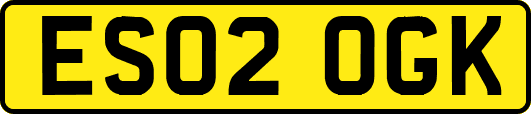 ES02OGK