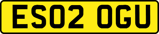 ES02OGU