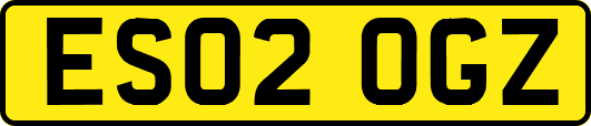 ES02OGZ