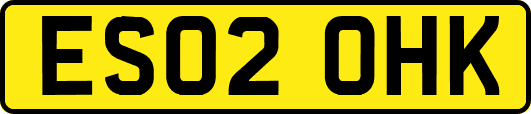 ES02OHK