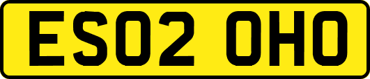ES02OHO