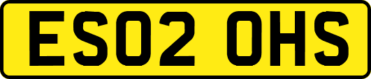 ES02OHS