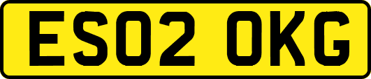 ES02OKG