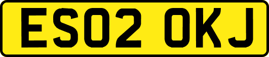 ES02OKJ