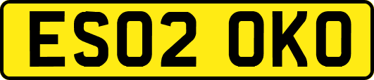 ES02OKO