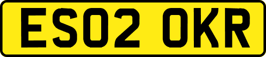 ES02OKR