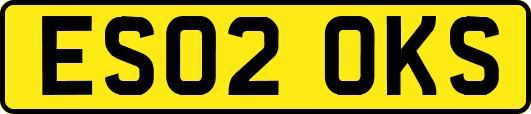 ES02OKS