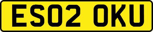 ES02OKU