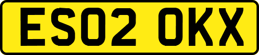 ES02OKX