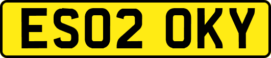 ES02OKY