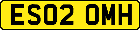 ES02OMH