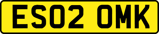 ES02OMK