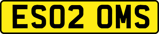 ES02OMS