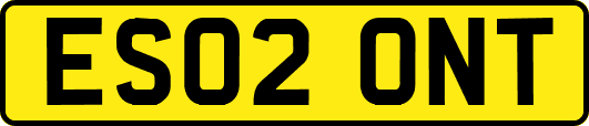 ES02ONT