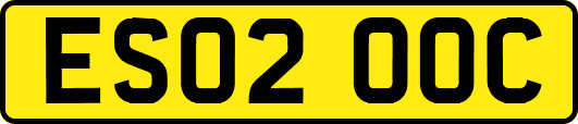 ES02OOC