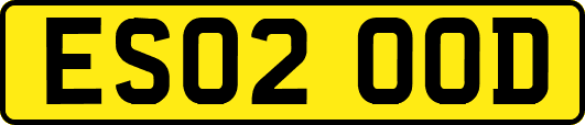 ES02OOD