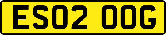 ES02OOG