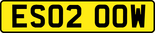 ES02OOW