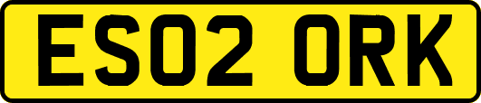 ES02ORK