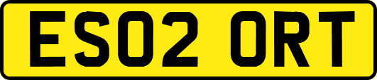 ES02ORT