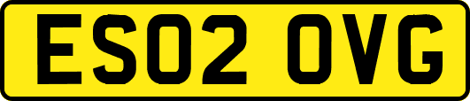 ES02OVG