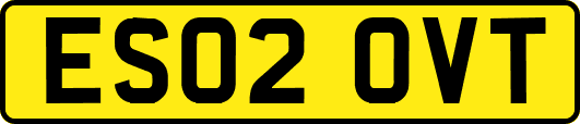ES02OVT