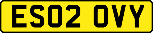 ES02OVY
