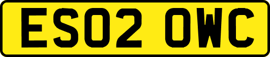 ES02OWC