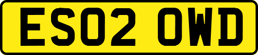ES02OWD