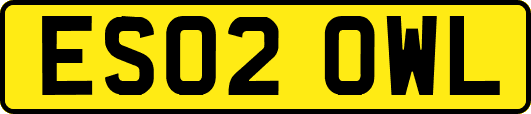 ES02OWL