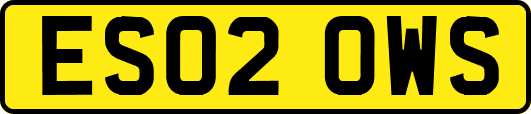 ES02OWS