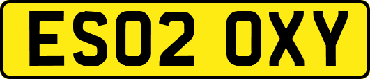 ES02OXY