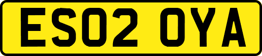 ES02OYA