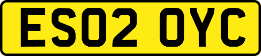 ES02OYC