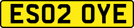 ES02OYE
