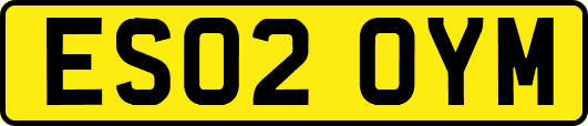 ES02OYM