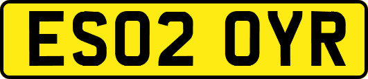 ES02OYR