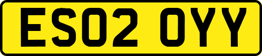 ES02OYY