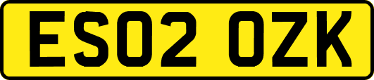 ES02OZK