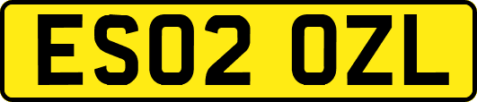 ES02OZL